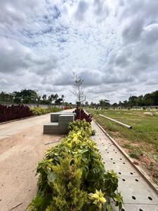 Residential Plot