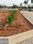 Bhogapuram Main Image 1