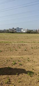 Nakapara Plot View 2