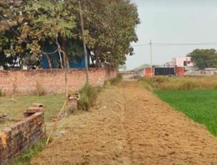 26000 Sqft Agricultural Land for Sale in Bachchaon, Varanasi Property