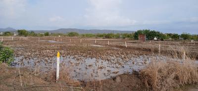 Image of 4000 Sq.ft Residential Plot / Land for sale in jui, Navi Mumbai for Rs. 2400000