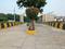 Behta Plot View 2
