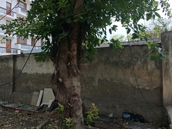 Block D Main Image 1
