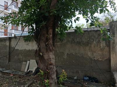 Block D Plot View 1
