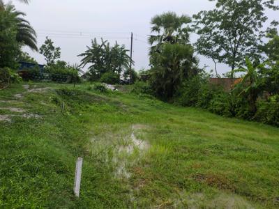 Golden city 2 Plot View 2