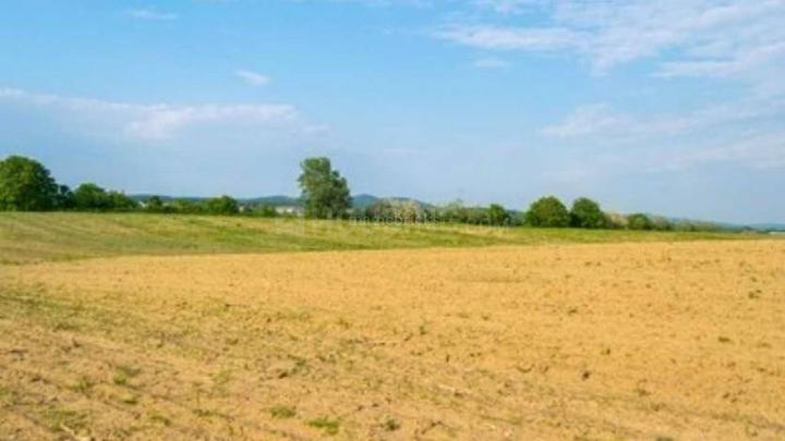 Dankaur Main Image 1