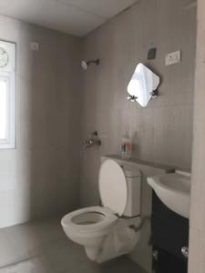 Common Bathroom Image of 1560 Sq.ft 3 BHK Apartment / Flat for rent in Strategic Royal Court, Noida Extension Greater Noida for Rs. 26000