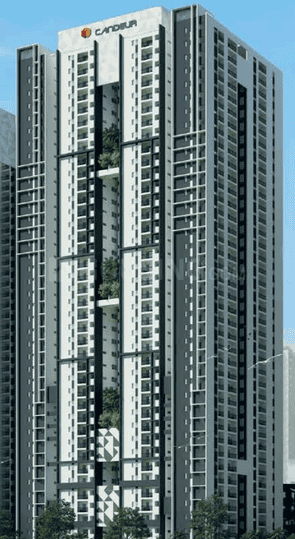 Candeur 40 Main Image 1