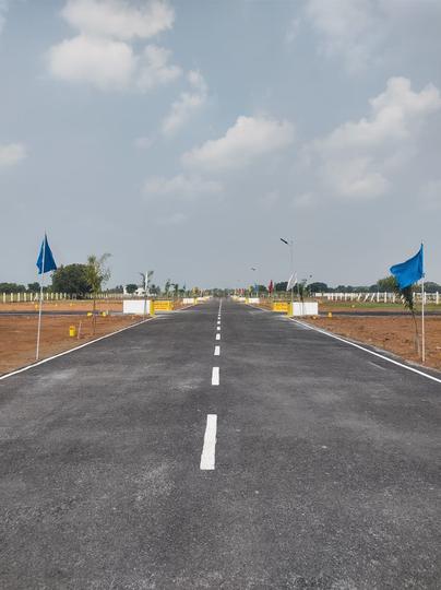 Karamadai Main Image 1