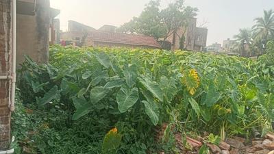 Belur Math Plot View 2