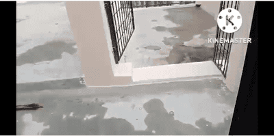 Image of 2400 Sq.ft 6 BHK Independent House for rent in Madiyava, Lucknow for Rs. 40000