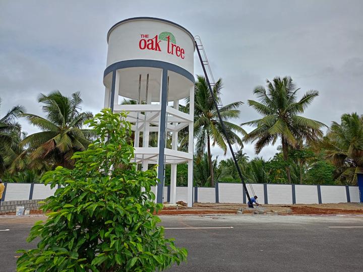 RR Oak Tree Main Image 1
