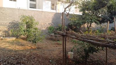 ROYAL RAJPUTANA CO Plot View 1