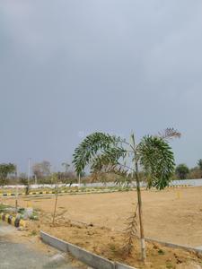 Image of 162 Sq.ft Residential Plot / Land for sale in Jinnaram, Sangareddy for Rs. 2500000