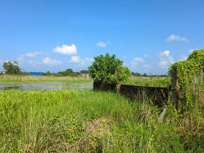 Image of 2160 Sq.ft Residential Plot / Land for sale in Wander Valley, Joka, Kolkata for Rs. 700000