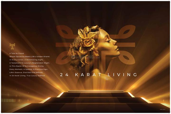 ACE Terra Main Image 1