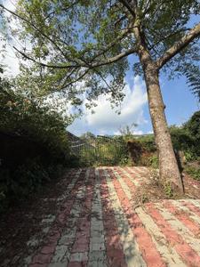 Image of 16650 Sq.ft Residential Plot / Land for sale in Kulhan, Dehradun for Rs. 129500000