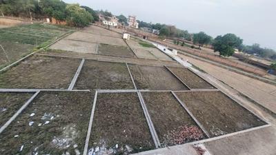 Dev Saundaryam Main Image 1