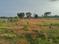 Karamadai Main Image 1