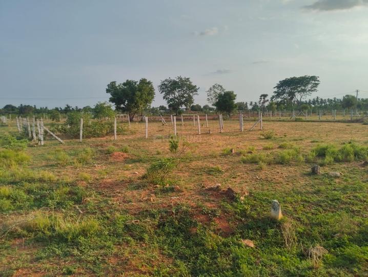 Karamadai Main Image 1