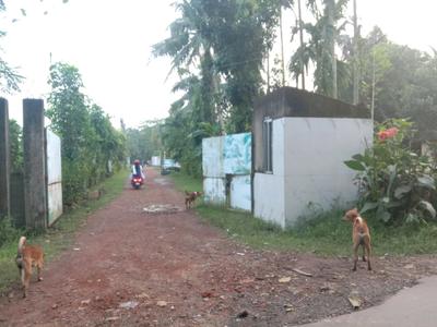 Image of 1100 Sq.ft Residential Plot / Land for sale in Vriddhi Fresco Fountain City, Sankharipota, Raypur for Rs. 620000
