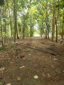 Image of 10890 Sq.ft Residential Plot / Land for sale in Mettupalayam, Coimbatore for Rs. 9375000