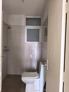 Common Bathroom Image of 2100 Sq.ft 4 BHK Apartment / Flat for sale in Tulip Purple, Sector 69 Gurgaon for Rs. 27900000