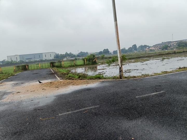 Aandal Avenue Main Image 1