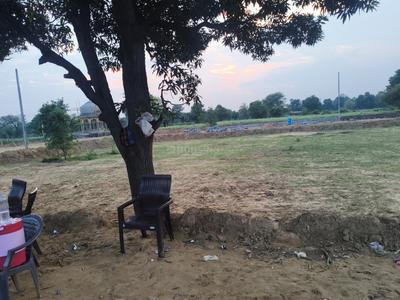 Bassi Plot View 1