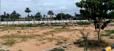 Image of 1200 Sq.ft Residential Plot / Land for sale in Nallur, Krishnagiri for Rs. 4439000