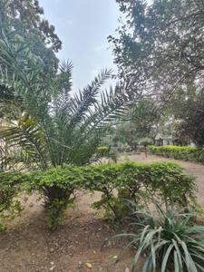 Green Field Plot View 2