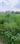 Zeta II Greater Noida Plot View 2