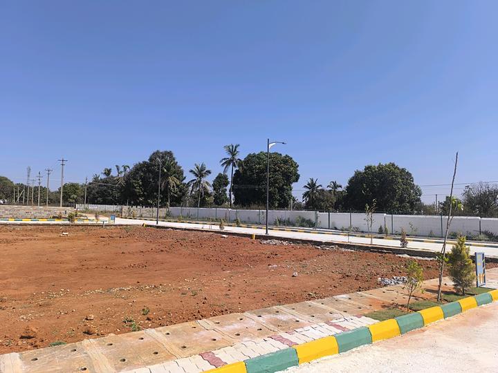 PGR Urban City Nandhi upachar Main Image 1