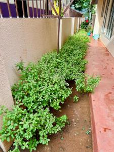 Balcony Image of 3100 Sq.ft 3 BHK Independent House for rent in Velachery Chennai for Rs. 75000