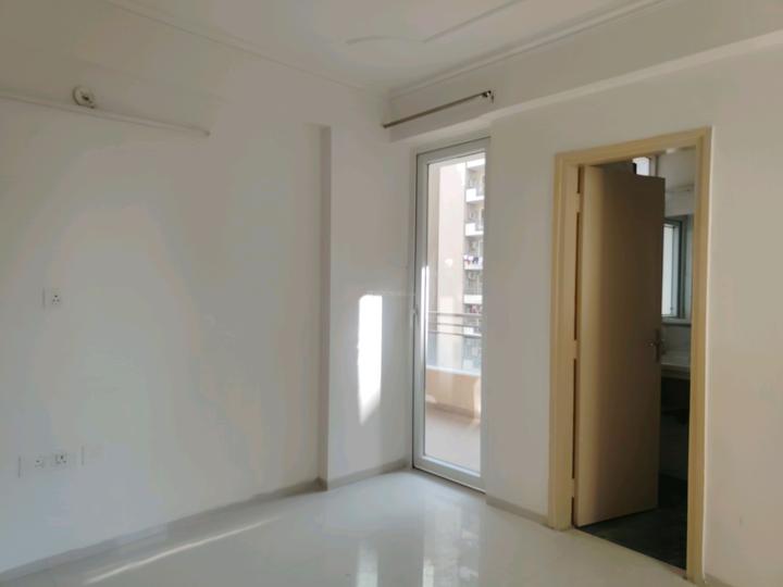 Tulip Violet Main Image 1