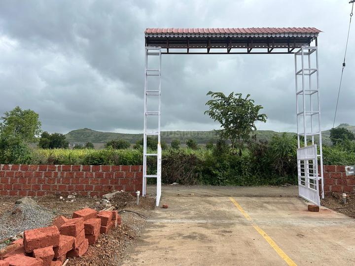 mango farms Main Image 1