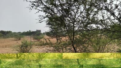 Image of 4050 Sq.ft Residential Plot / Land for sale in Jagatpura, Jaipur for Rs. 33750000