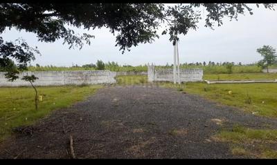 DWARAKA PRAKRUTI Atchutapuram Plot View 1