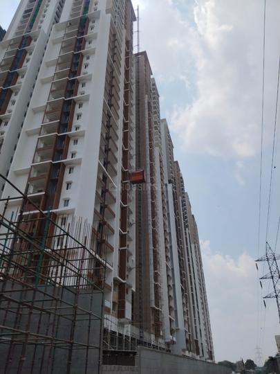 Team4 Nyla Main Image 1