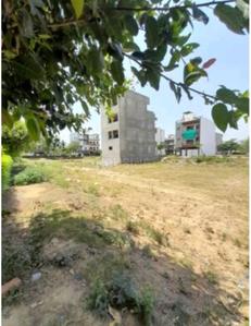 Sector 97 Plot View 2