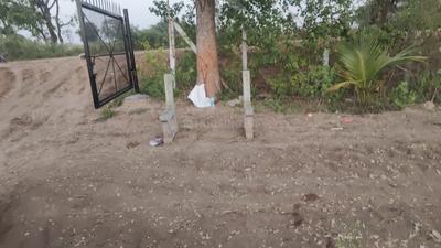 Agricultural Land