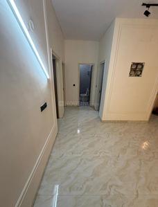 Hall Image of 2700 Sq.ft 3 BHK Builder Floor for sale in Sector 57 Gurgaon for Rs. 19000000