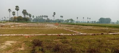 Residential Plot