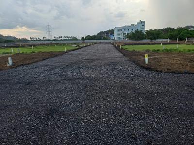 Plot View