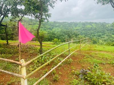 Image of 11000 Sq.ft Residential Plot / Land for sale in Velhe Bk., Pune for Rs. 2200000