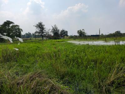 Image of 720 Sq.ft Residential Plot / Land for sale in Wander Valley, Joka, Kolkata for Rs. 260000