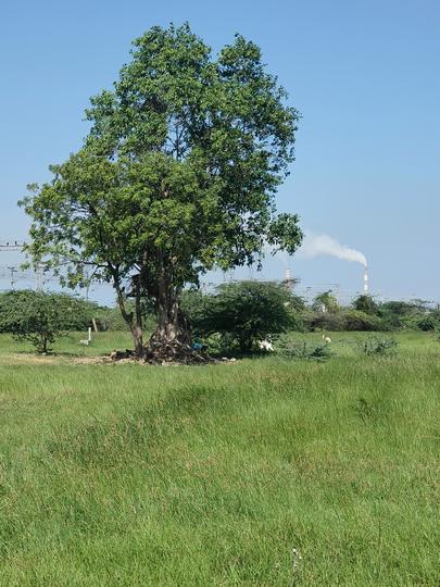 Nandiambakkam Main Image 1
