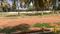 Thagarapuvalasa Plot View 2