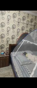 Bedroom Image of 1035 Sq.ft 3 BHK Independent House for sale in Janakpuri New Delhi for Rs. 16500000
