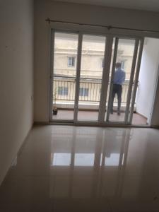 Hall Image of 1250 Sq.ft 2 BHK Apartment / Flat for rent in Urwa Mangalore for Rs. 26000